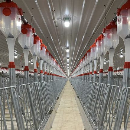 pig disc chain automatic feeding system