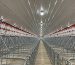 complete introduction to pig farming equipment