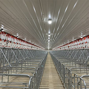 complete introduction to pig farming equipment