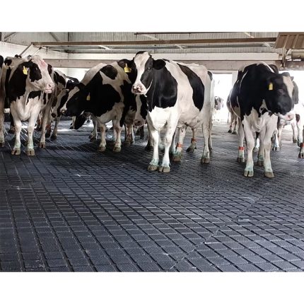 rubber cow mat
